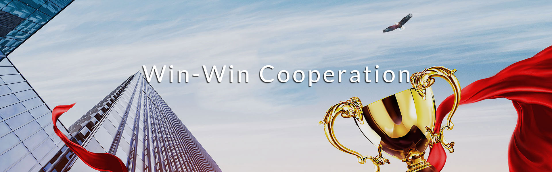 Win win cooperation